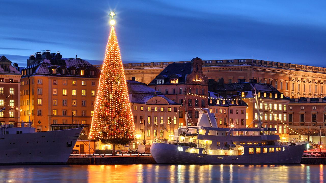 Stockholm zur Weihnachtszeit, Weihnachtsbaum am Wasser