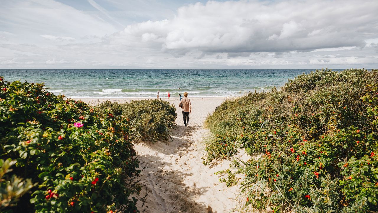 Mann geht zum Tisvildeleje Strand in Dänemark