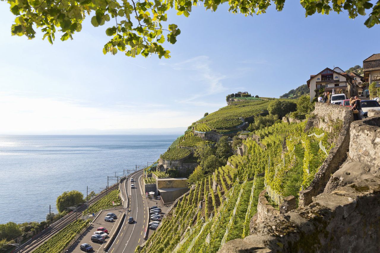 Steilhänge des Weinbaugebiets Lavaux am Genfersee