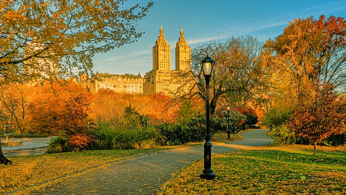 Central Park im Herbst, New York
