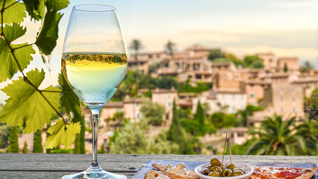 Ein Weinglas mit Blick auf die Landschaft, Genuss und Spezialitäten in Spanien