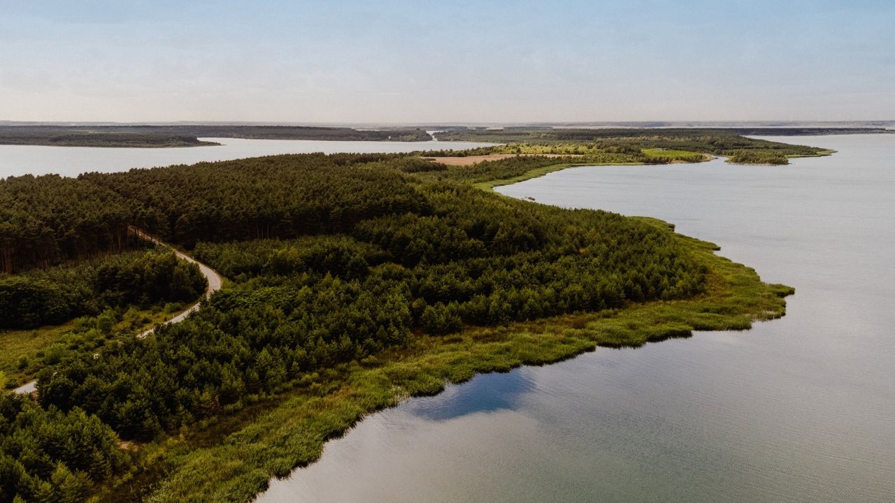 Blick über den Partwitzer See in Brandenburg
