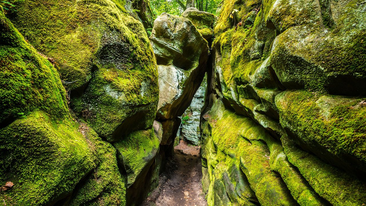 Wandern Eifel