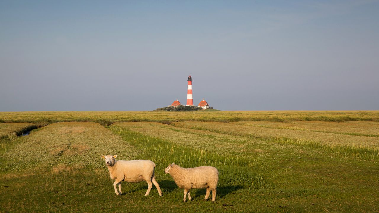 Leuchtturm Westerherver
