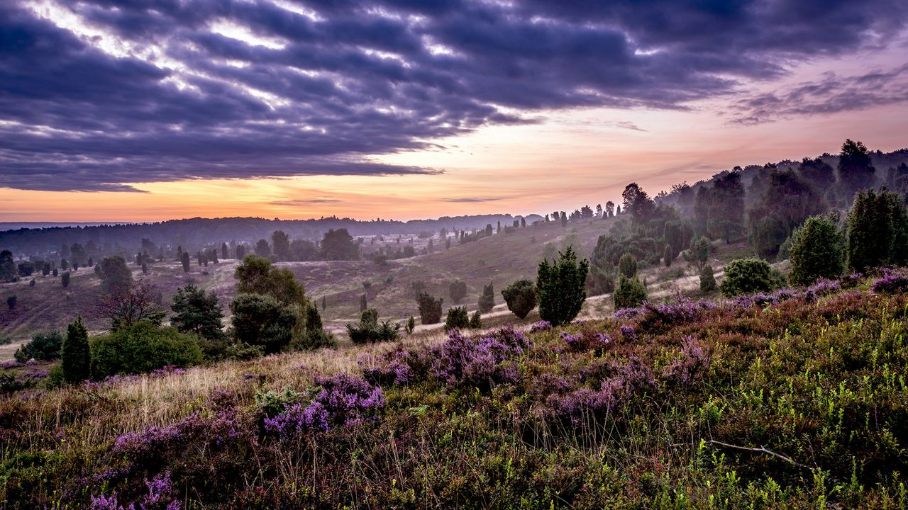 Lüneburger Heide, Wilseder Berg