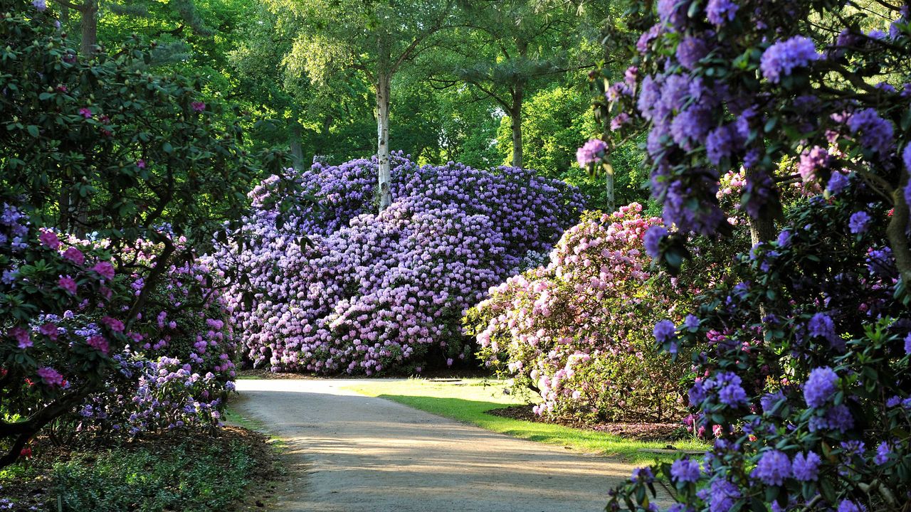 Rhododendronpark Bremen