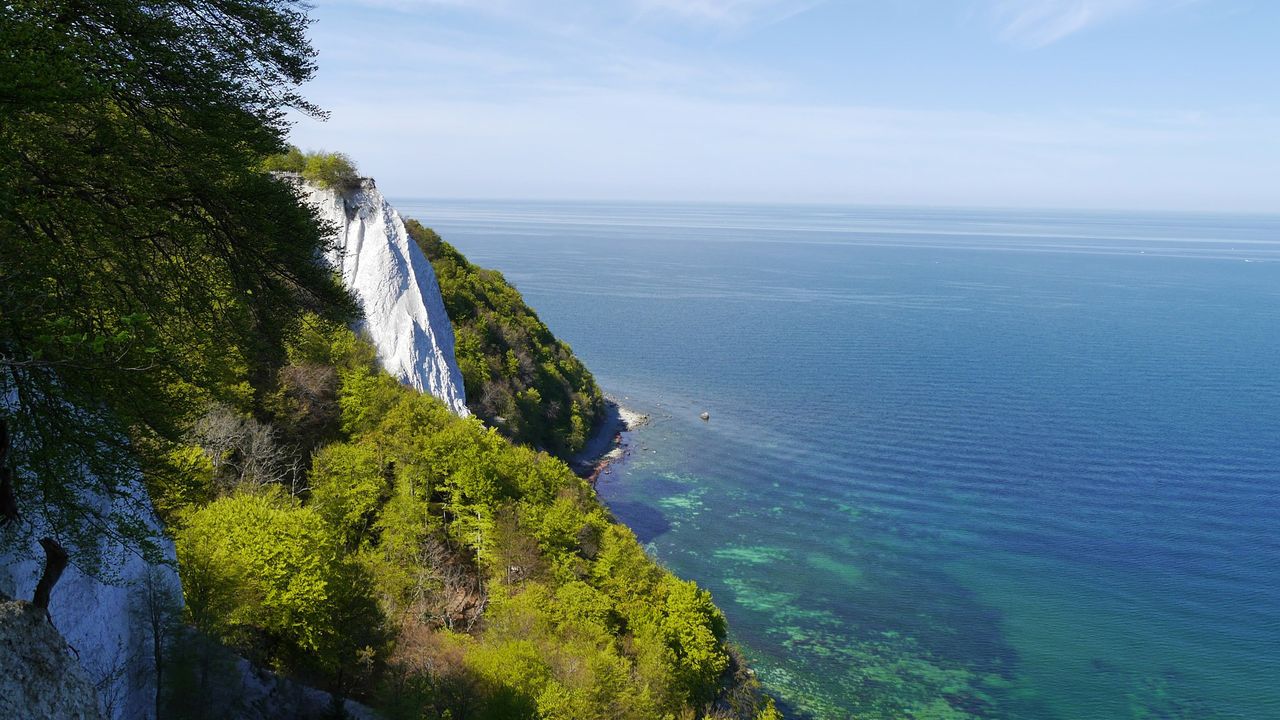 Kreidefelsen Rügen
