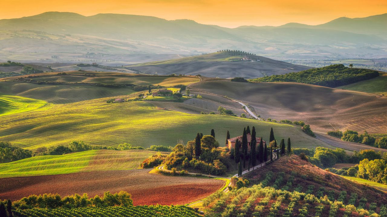 Weinberge des Chianti