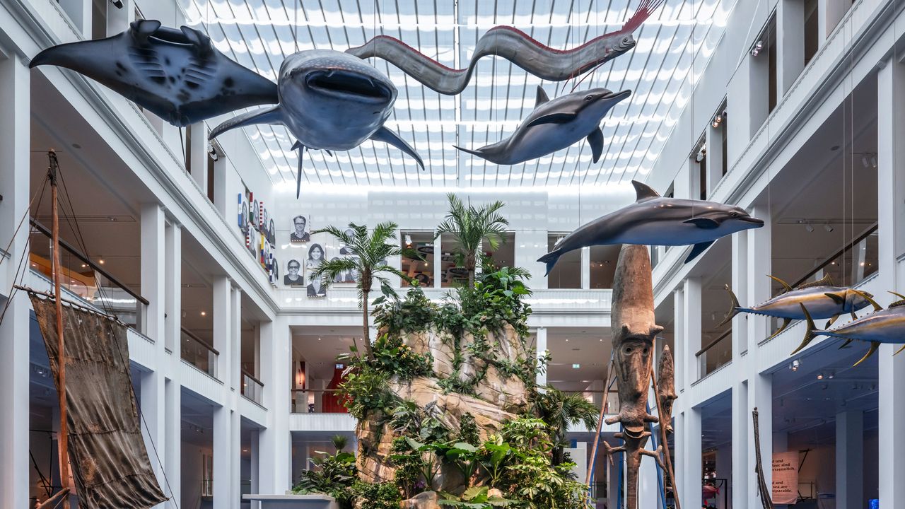Der blaue Kontinent im Übersee-Museum, Bremen