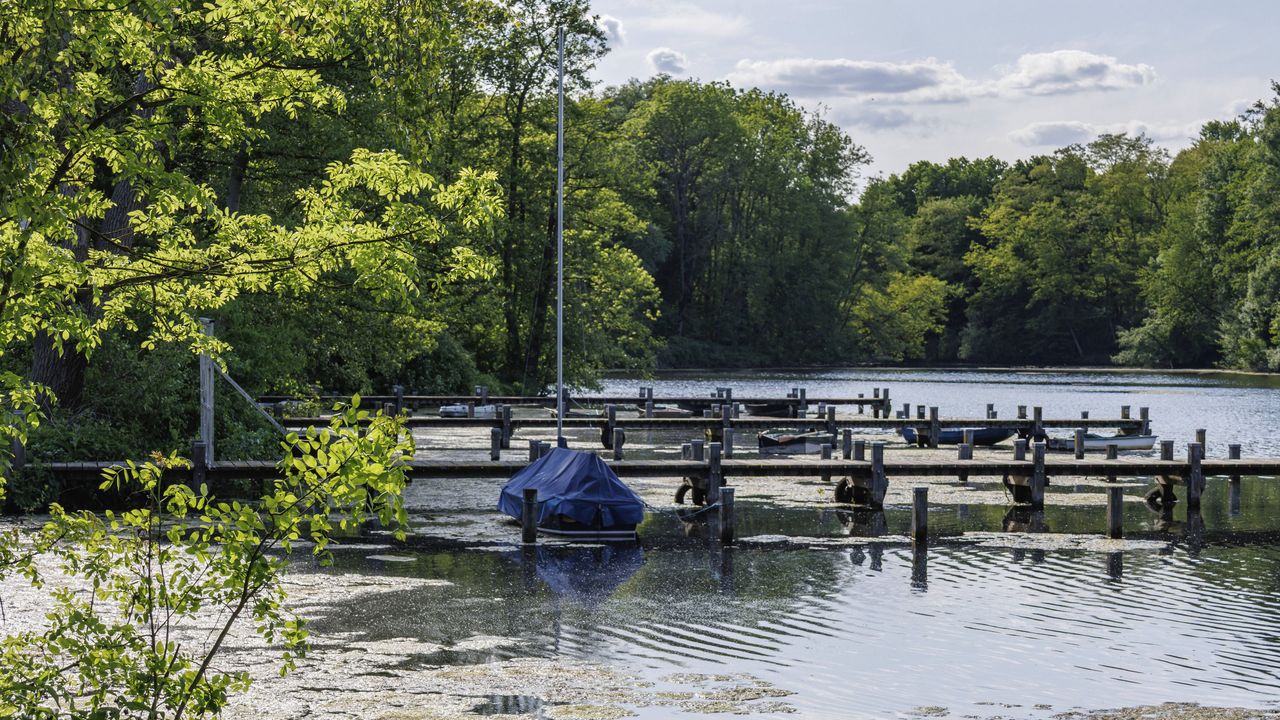 Boote am Steg im Pr&ouml;bstingsee, M&uuml;nsterland