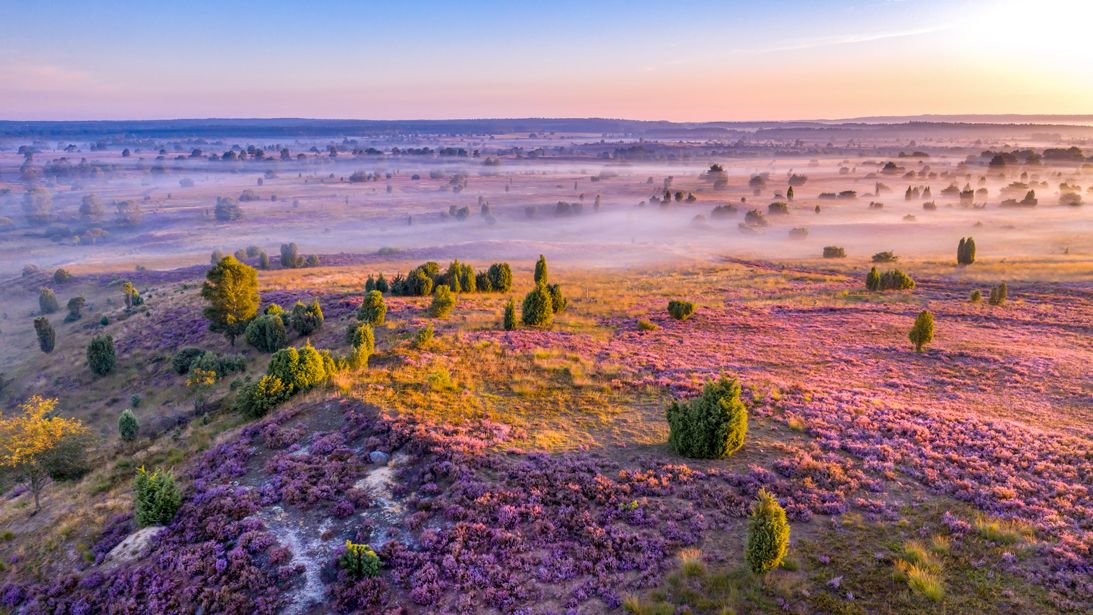 Blick auf die L&uuml;neburger Heide