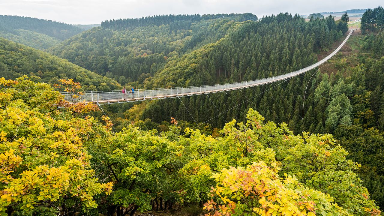 Geierlay Hängeseilbrücke in Mörsdorf