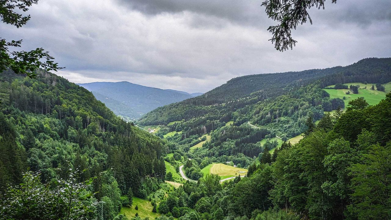 Zweitälerland im Schwarzwald, Blick vom Kandel