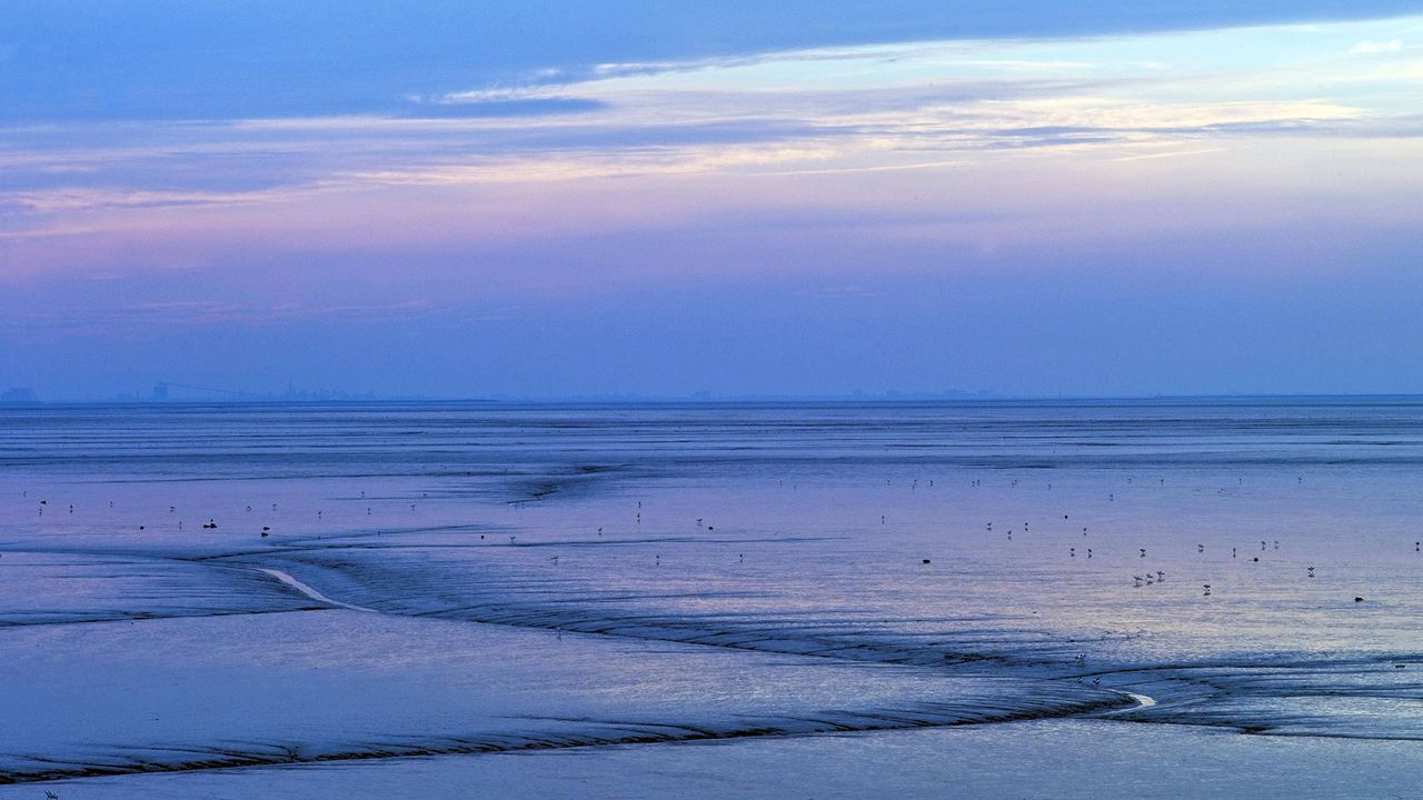 Dollard, Emsmündung, Niederlande