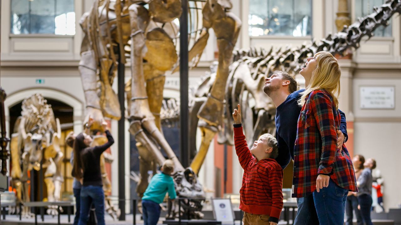 Sauriersaal im Museum für Naturkunde, Berlin