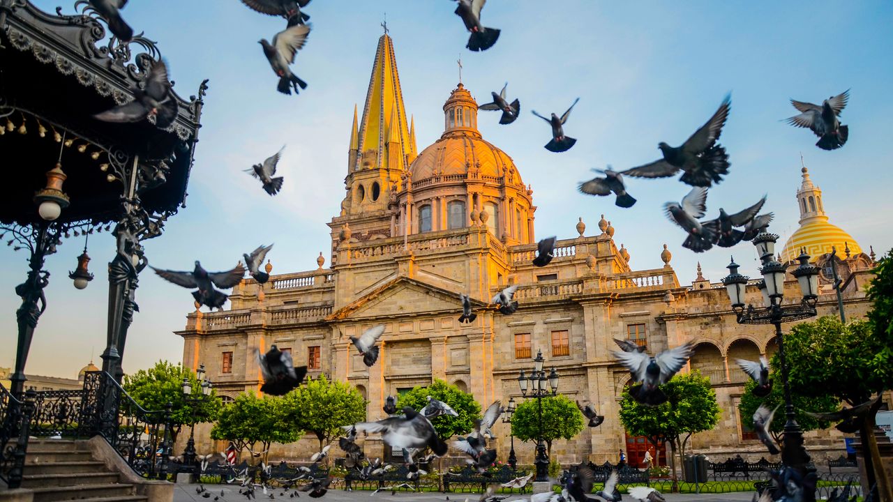 Tauben fliegen vor der Kathedrale von Guadalajara Jalisco