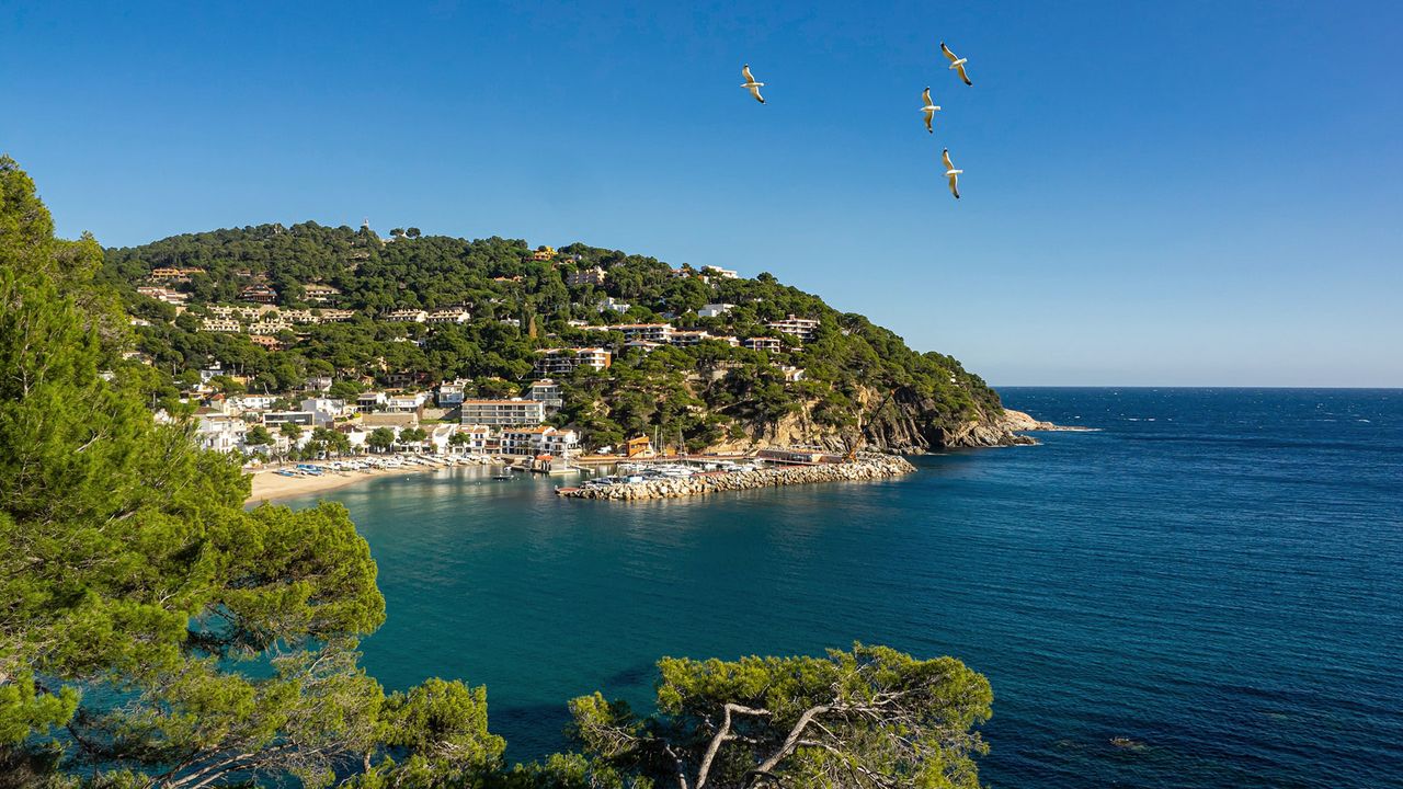 Costa Brava Camping Llafranc