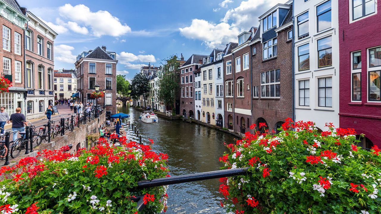 Kanal in Utrecht, Ufer in Blüte