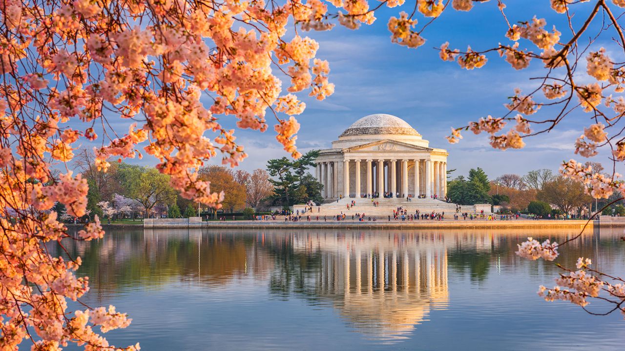 Jefferson Memorial und Kirschblüten in Washington D.C.