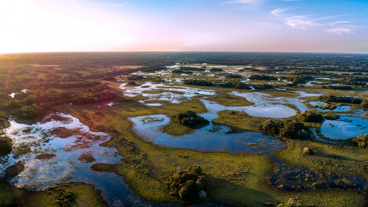 Blick auf das Pantanal in Brasilien