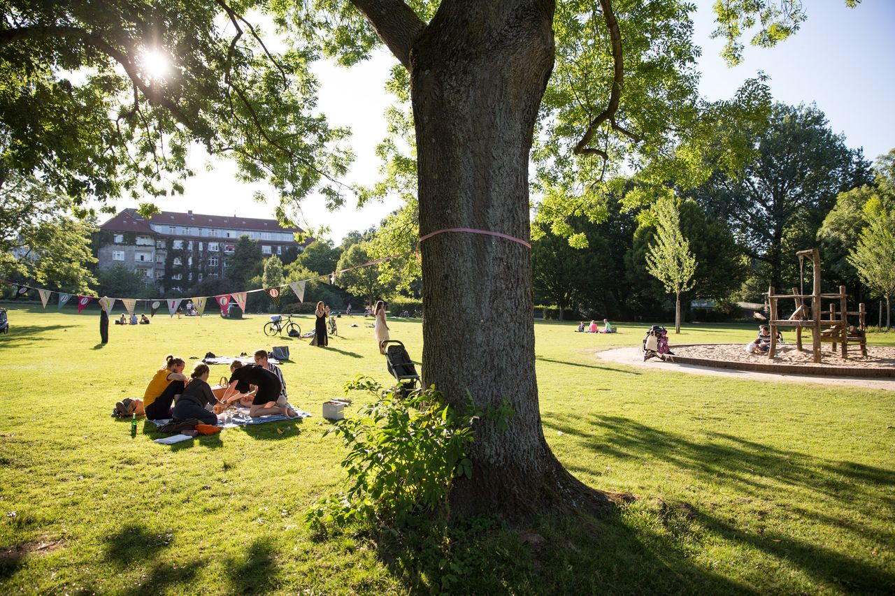 Park in Hamburg Eppendorf in der Sonne