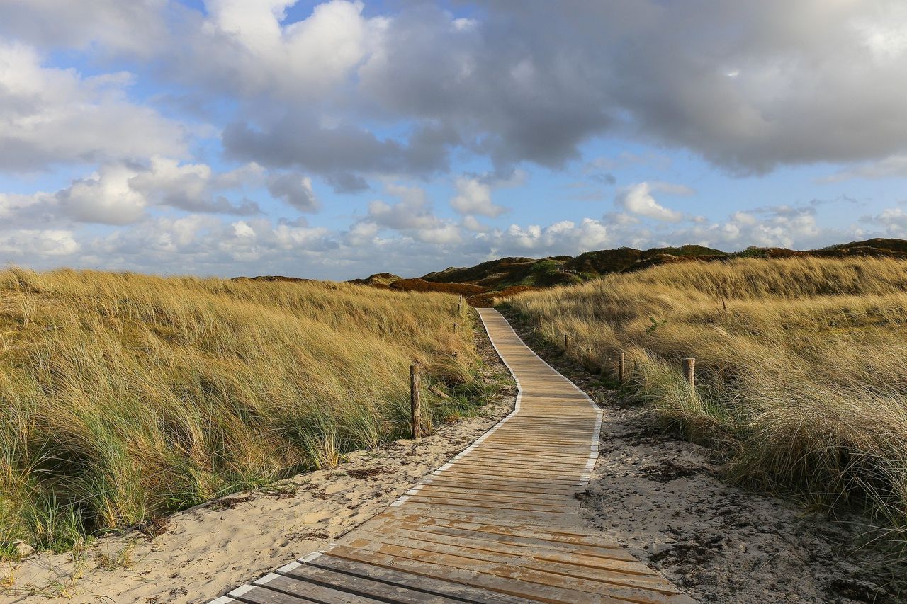 Dünen Langeoog
