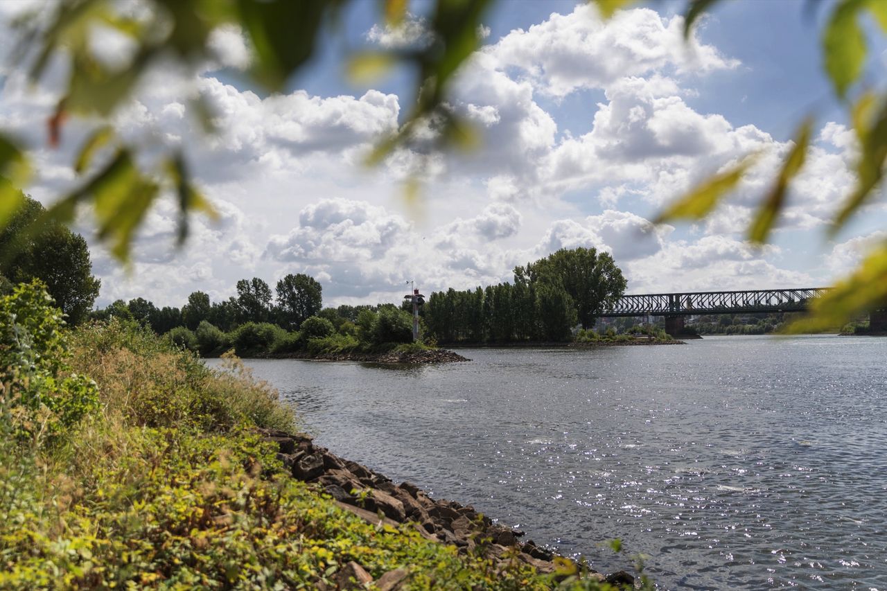 Das Wasser an der Mainspitze