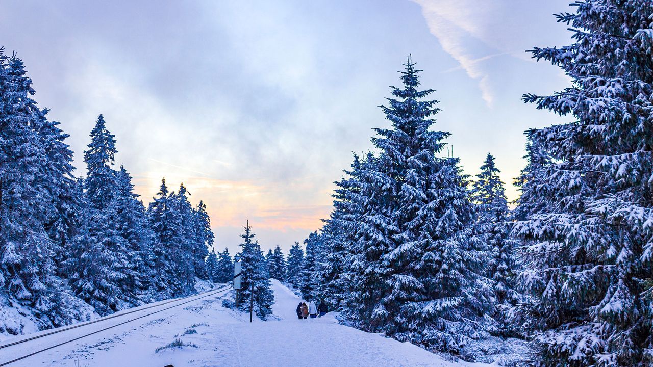 der verschneite Brocken im Harz