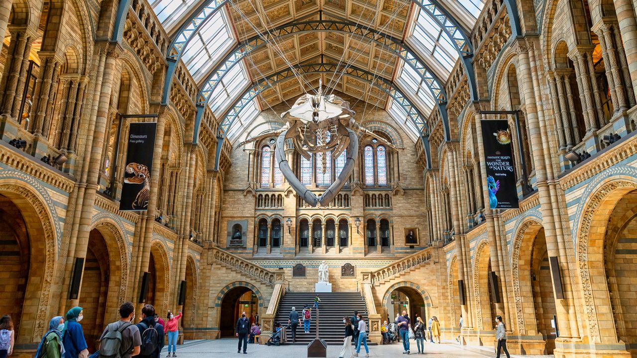 National History Museum, London