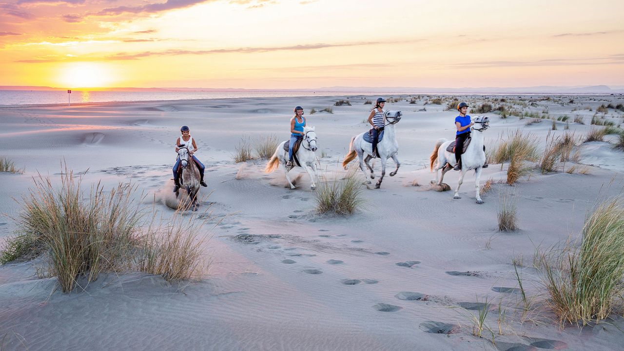 Camargue