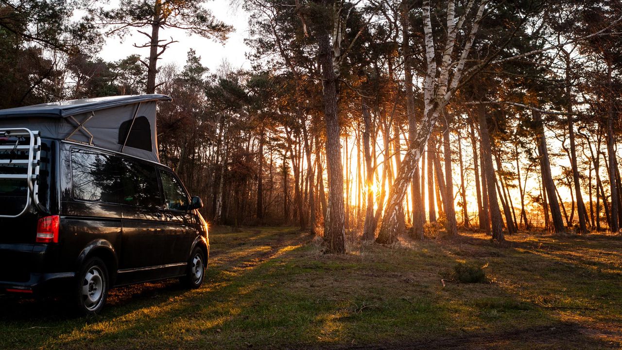 Camping Darß