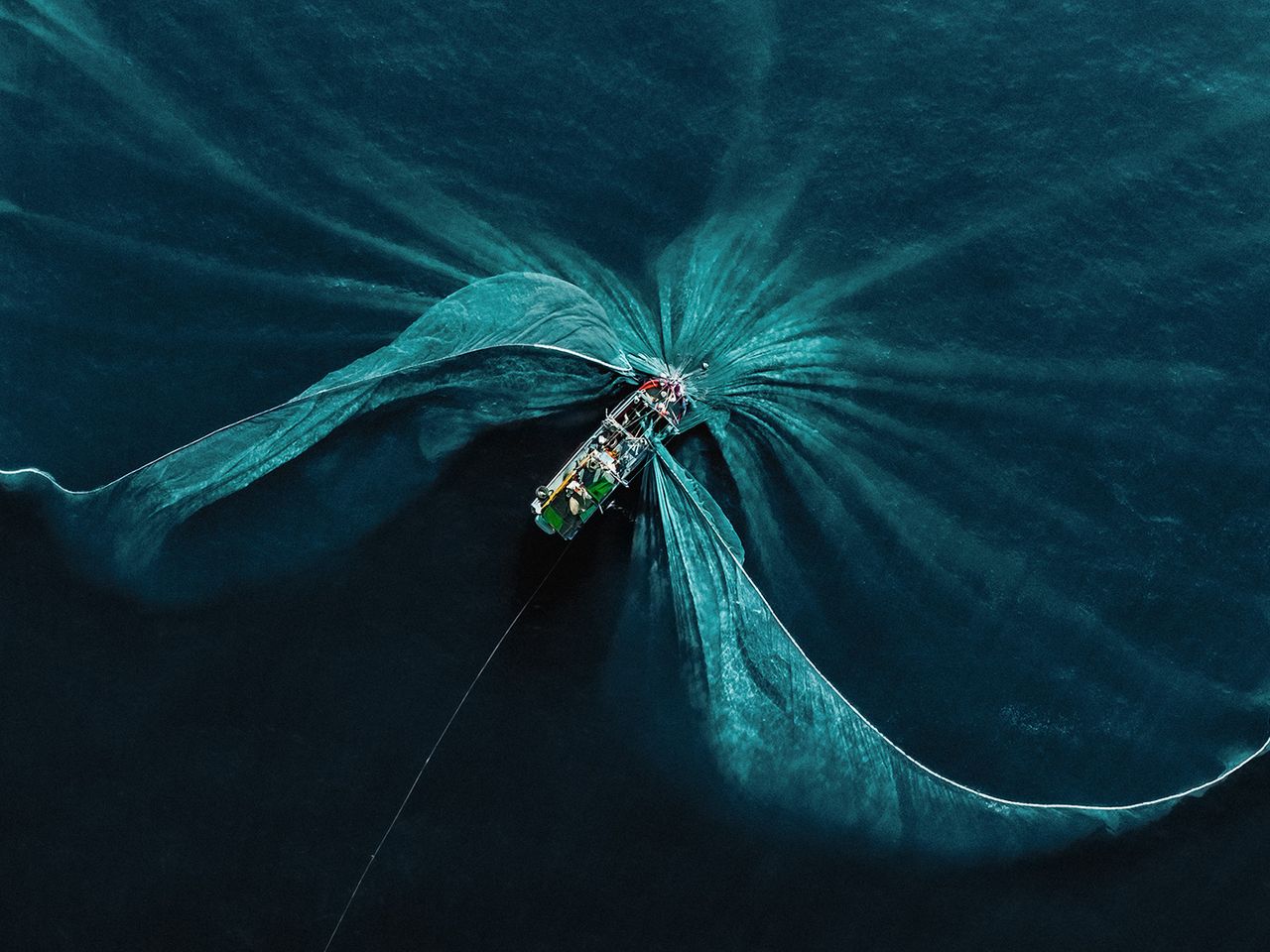 „The Lily Pad“ von Robert Middleton