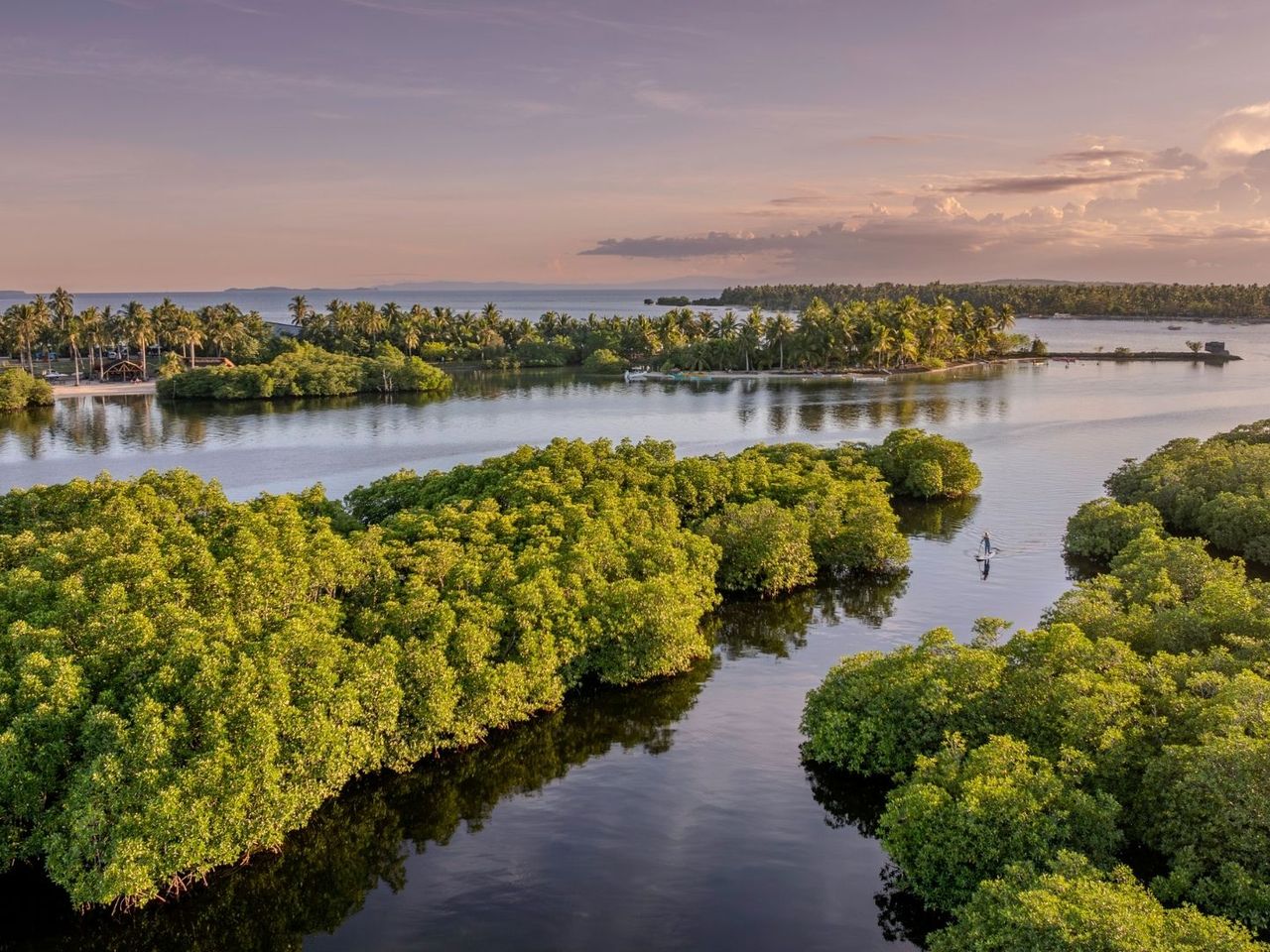 Natur auf Siargao Island