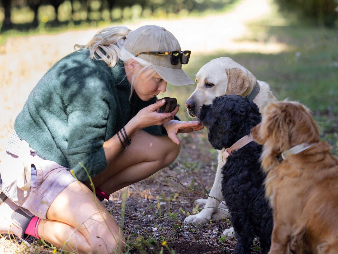 Anny Terry mit ihren Hunden bei der Trüffelsuche, Tasmanien
