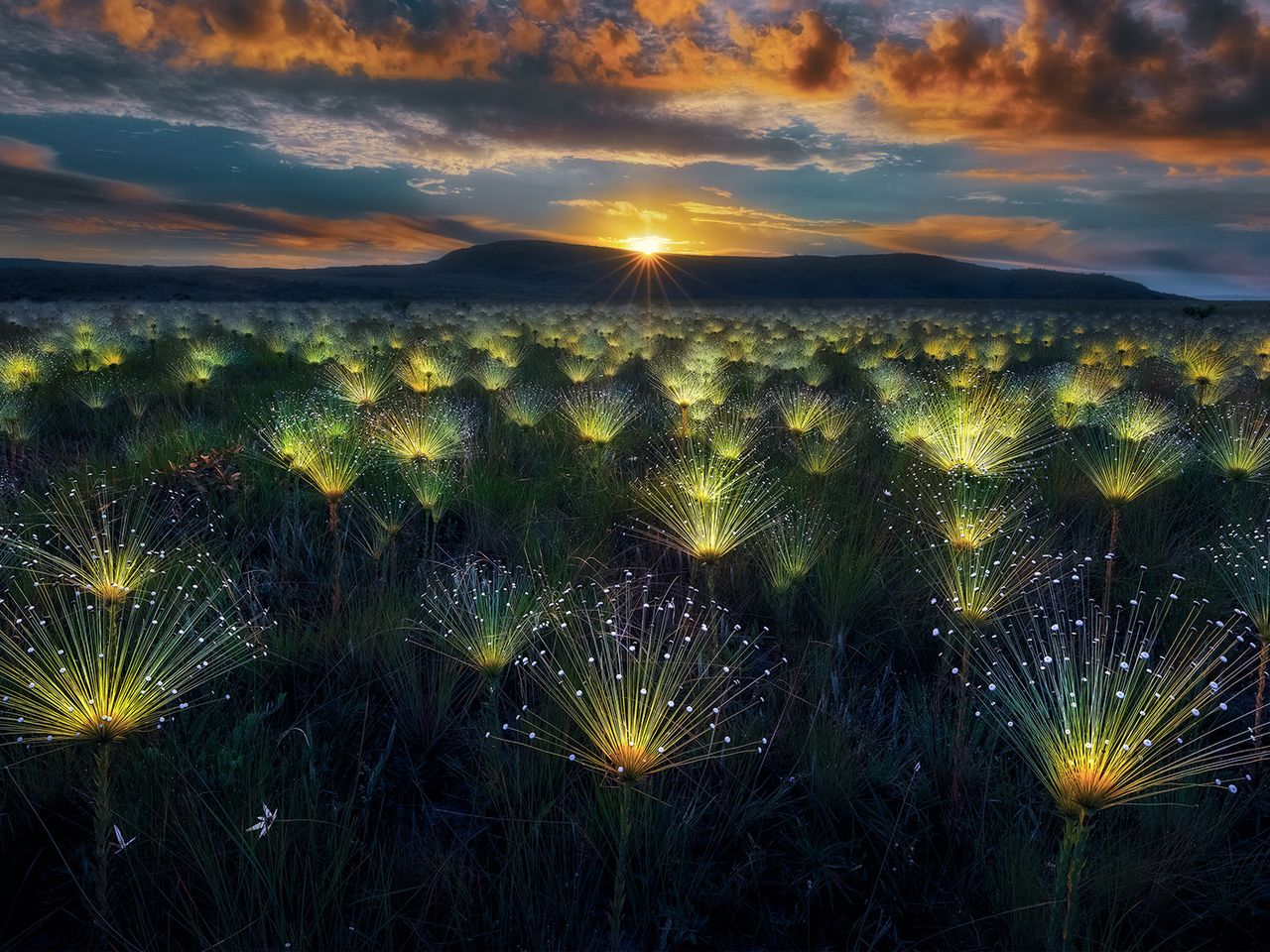 „Fireworks“ von Marcio Esteves Cabral