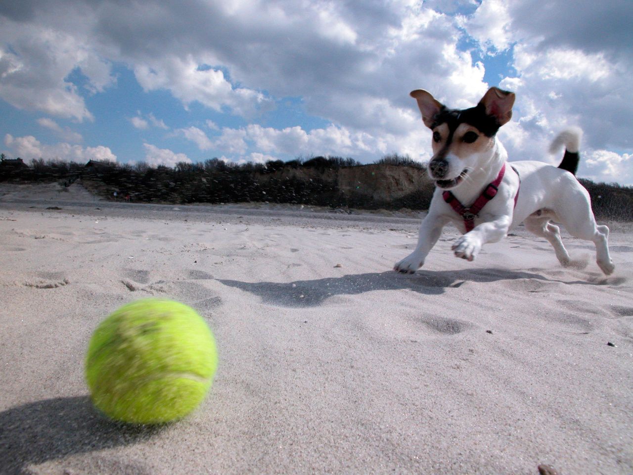 Hundestrand auf Rügen, Mecklenburg-Vorpommern