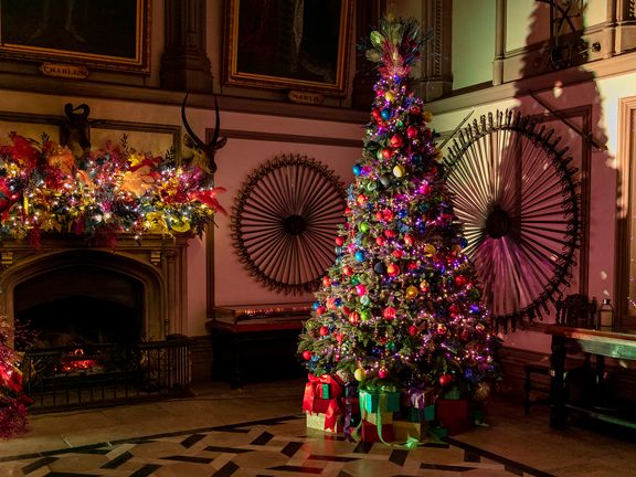 Weihnachtsbäume im Belvoir Castle