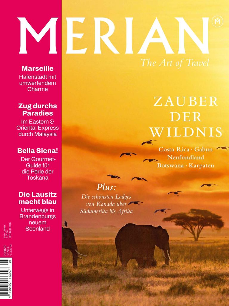 merian_05_2026_preview