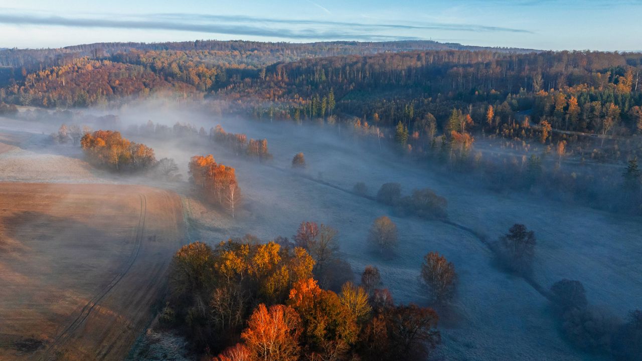 Nebel &uuml;ber dem Wald im Harz, Luftaufnahme 