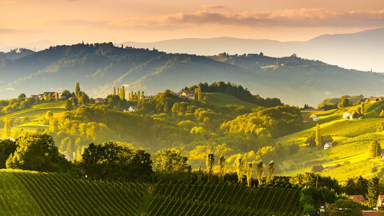  S&uuml;dsteirische Weinberglandschaft in der N&auml;he von Gamlitz