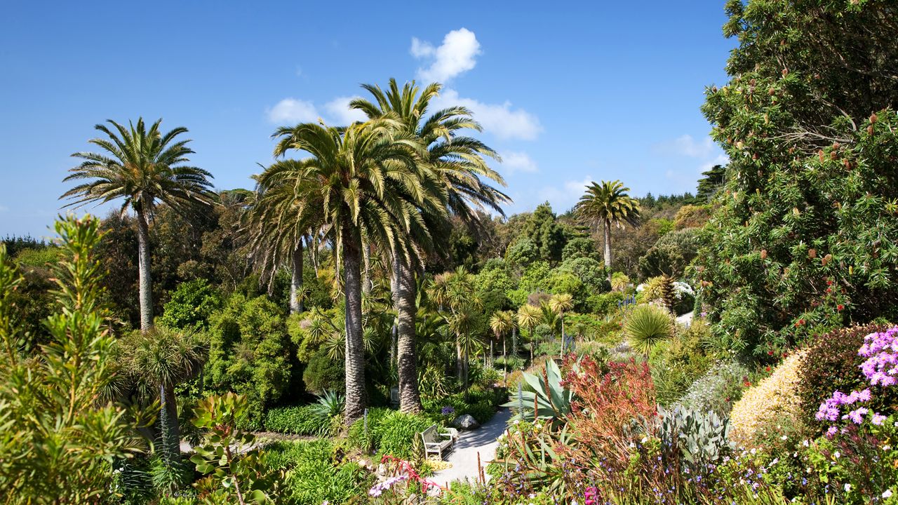 Tropischer Garten, Illes of Scilly in Cornwall
