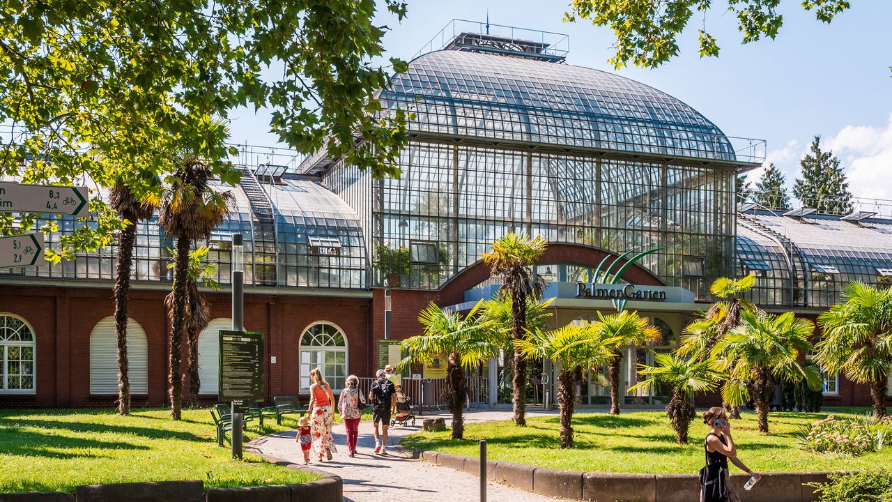 Palmengarten in Frankfurt am Main im Sommer