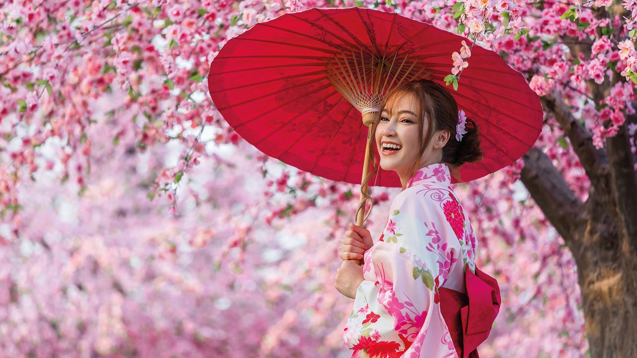 Website-Teaser Fruehbucher