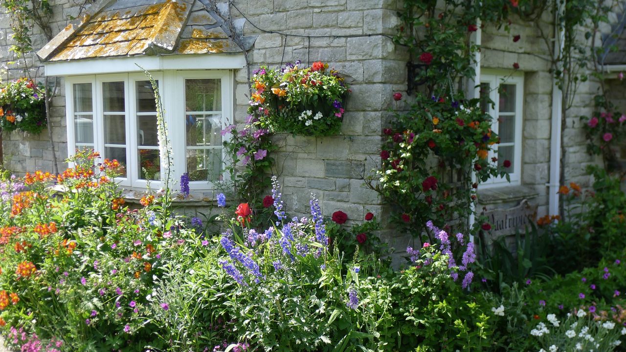 Sommer in den G&auml;rten von Cornwall