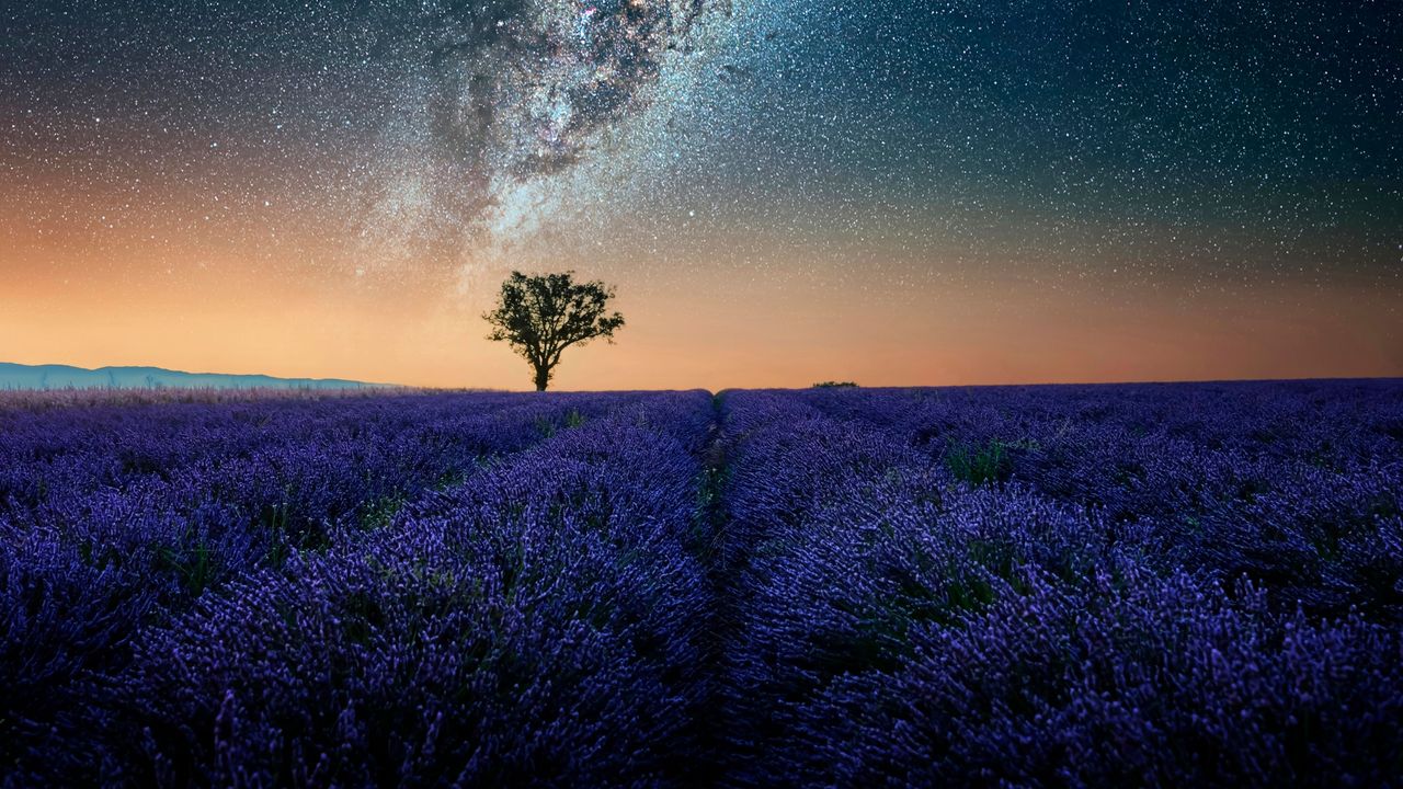 Sternenhimmel mit Milchstraße über Plateau de Valensole, Provence
