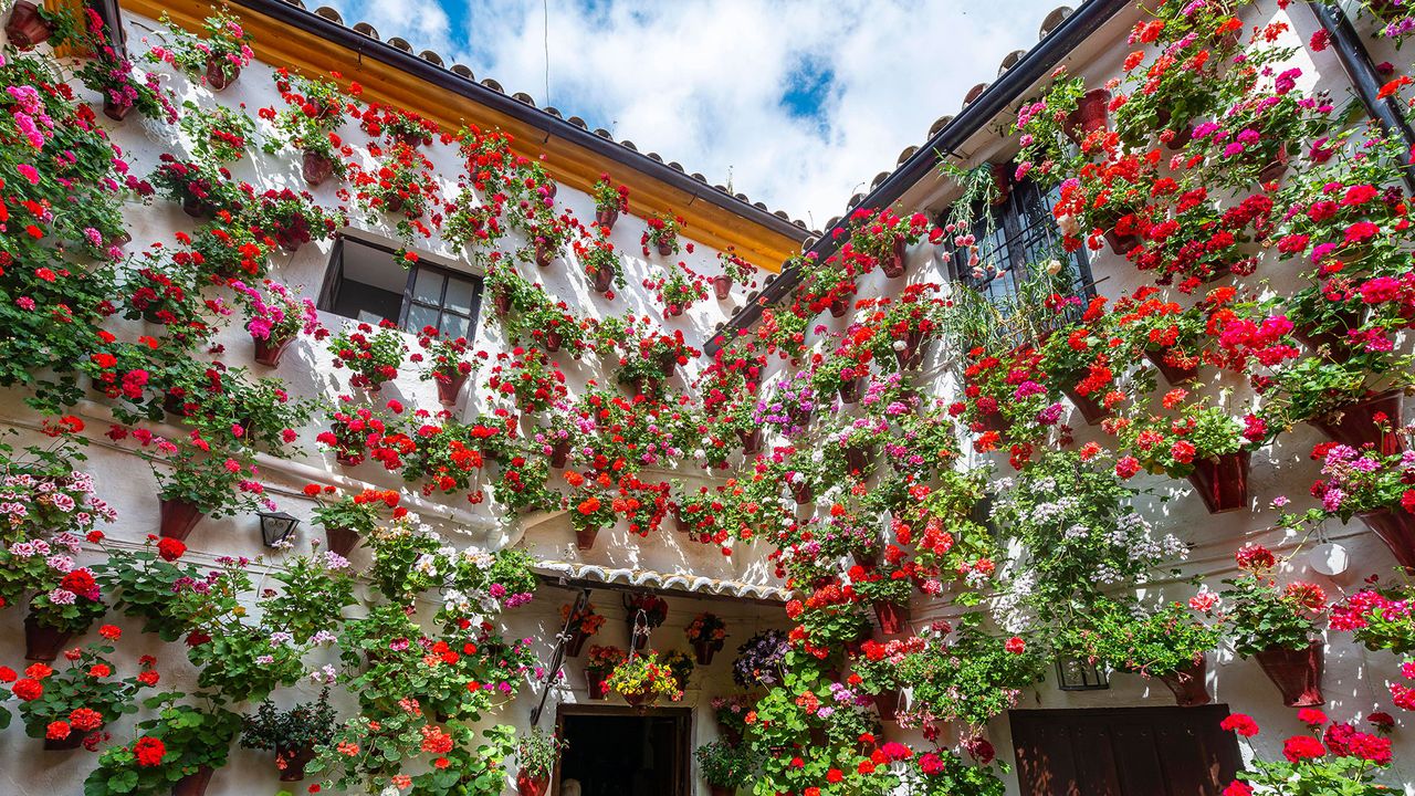 T&ouml;pfe mit roten Geranien in einem Innenhof von C&oacute;rdoba