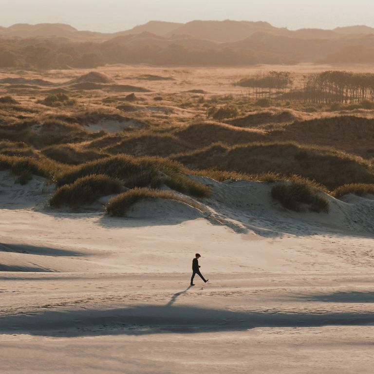 Mensch läuft am Strand entlang, Wanderdüne in Råbjerg
