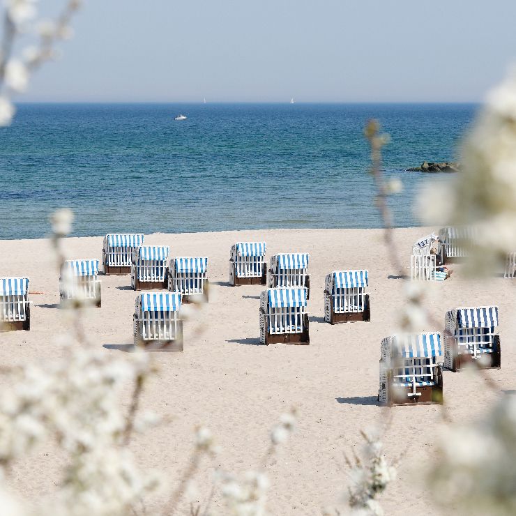Der Ostsee-Strand von Kühlungsborn