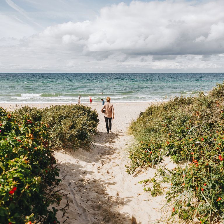 Mann geht zum Tisvildeleje Strand in Dänemark