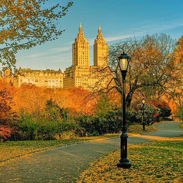 Central Park im Herbst, New York